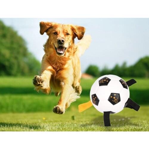 Cawayi Kennel High Flexibility Spherical Toy for Dogs Outdoor Training Interactive Rope Football Dogs Toys Nibble Balls D2304