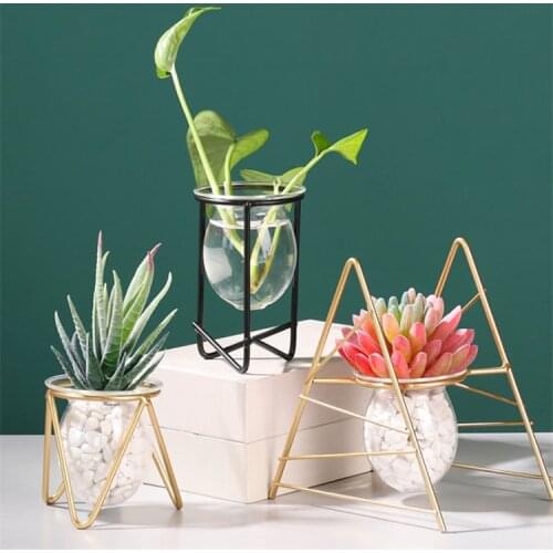 Desktop Plant Pot Vase Table Hydroponics Plant Flower Vase Pot Hanging Pots Transparent Vase Home Office Decor
