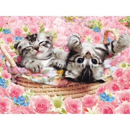 Full round drill 5D DIY Diamond embroidery Flower and kitten Diamond Painting Cross Stitch Rhinestone Mosaic decoration fc511
