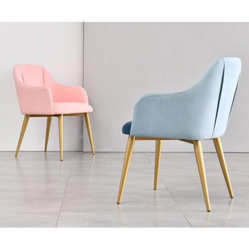 Nordic Modern Iron Dining Chair Simple Family Dining Chair Leisure Back Chair Desk Chair Net Red Chair