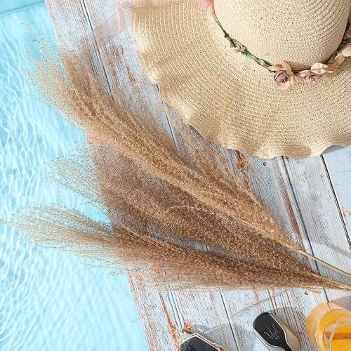 Wedding Natural Phragmites&Real Dried Pampas Grass Decor Home Christmas Decoration Natural Plants Free Shipping
