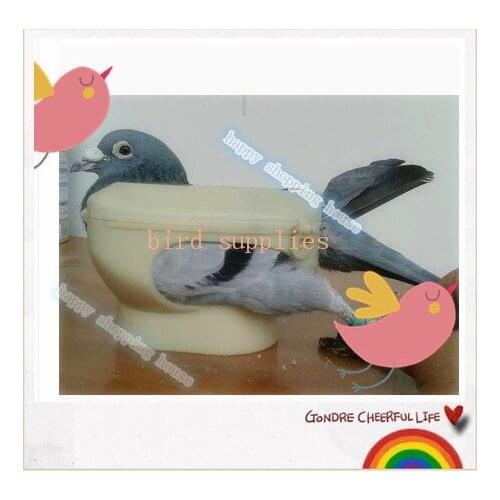 A01 Pet bird pigeon racing for dove products supplies with medicine injection see pigeon eye fixation
