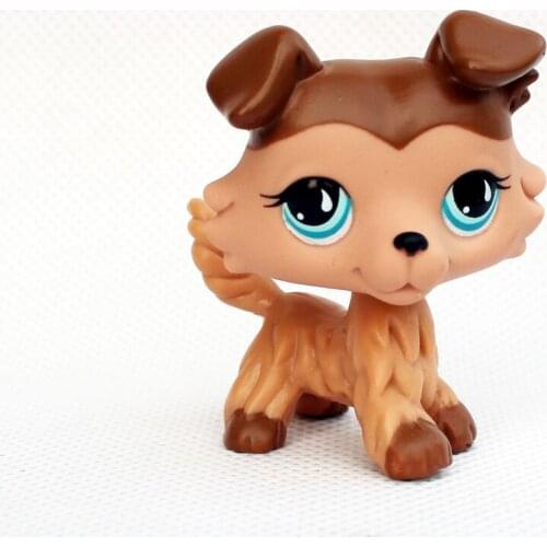 LPS CAT Real pet shop toys figure #893 original animal dog collie brown caramel Mocha blue eyes child collectible gifts