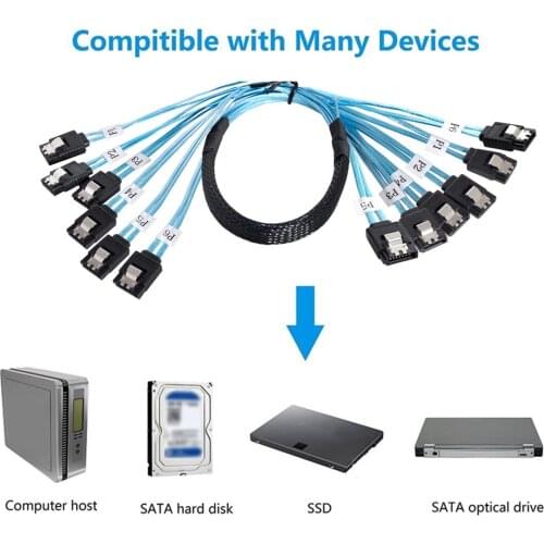 Chenyang Internal Host SAS 6 SATA 7Pin Male to 6 SATA 7pin Male Target Hard Disk 6Gbps Data Server Raid Cable 50cm