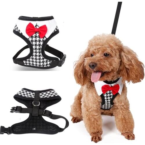 Gentleman Dog Collars And Harnesses Black Plover Bow Pet Leashes Accessories For Puppy Small Animal Chihuahua Yorkie Toy Terrier