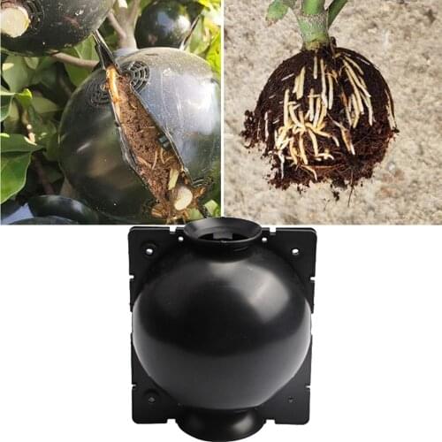 5pcs Plant Rooting Ball Grafting Rooting Growing Box Breeding Case Plant Root Growing Box For Garden 8/12cm In Diameter