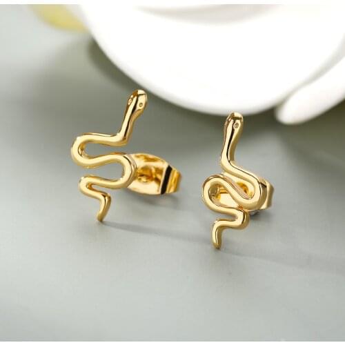 Snake Earrings 2021 Trendy Piercing Stainless Steele Gold Sliver Color Animal Earrings for Women Jewelry Gift Boho Stud Earrings