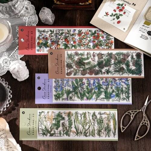 6 Pcs/Lot Vintage Pine Forest Plant Flower PET Sticker Package DIY Diary Journal Decoration Sticker Album Scrapbooking
