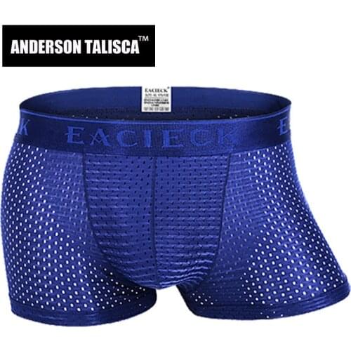 ANDERSON TALISCA Brand Silk Hollow New Mens Boxers Underwear Men Boxer Ropa Interio Man Penis Cueca Masculina Size M-3XL E248