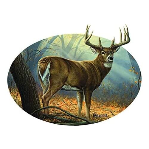 Wild Wings Panoramic Car Stickers, Outdoor Rating Vinyl Stickers