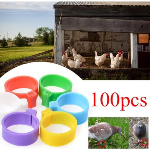 100 pcs Inside Diameter 1.05cm Chicken foot ring Duck Goose Bird Quail Poultry Hen Ring Poultry Portable Device Hight 0.8cm