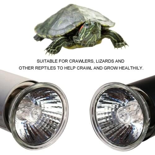 New Grape Uvb Reptile Turtle Frade Full Spectrum Lamp Solar Pet Heating Lamps Low-intensity 25 W / 50 W