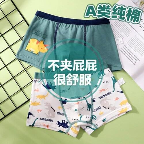 Boys' Underpants, Boxers, Cotton Childrens Underpants, Class A, Middle School Children, Summer Children, Thin Style, Boys, 9-10