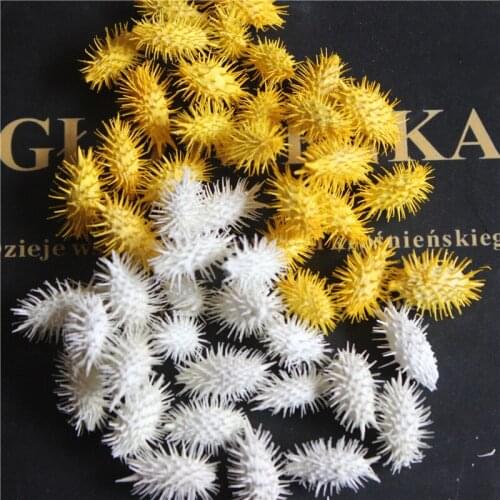 50g/300-350pcs,Natural Dried flower head,Eternal Sticky fruits DIY Graft flower materials for Wedding Home flower Arrangement