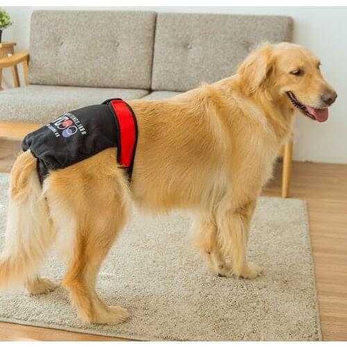 New Cute Pet Dog Strap Physiological Pants Panty Menstruation Pants For Female Teddy Underwear For Boy Dog Cat Supplies