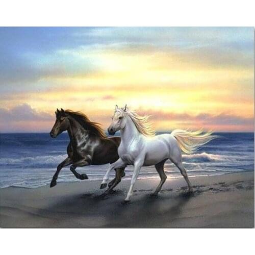 Needlework 5D diamond embroidery full resin diamond with picture home decor mosaic diy diamond painting horse