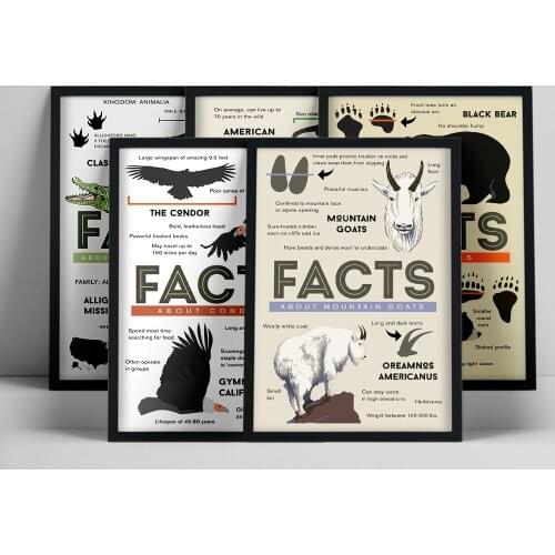 Canvas Painting Animal Wall Art Crocodile Bear Condor Mountain Goats Pika Posters and Prints Wall Pictures Decoration Home Decor