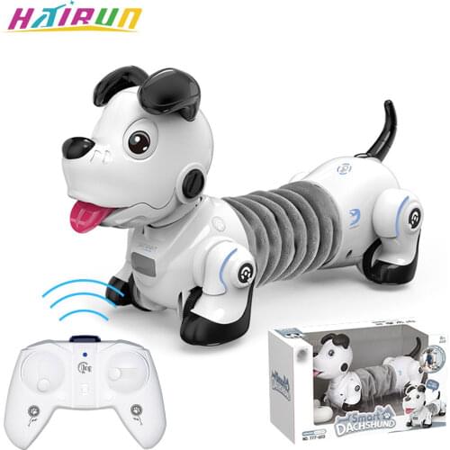 Hairun Radio-controlled Toys