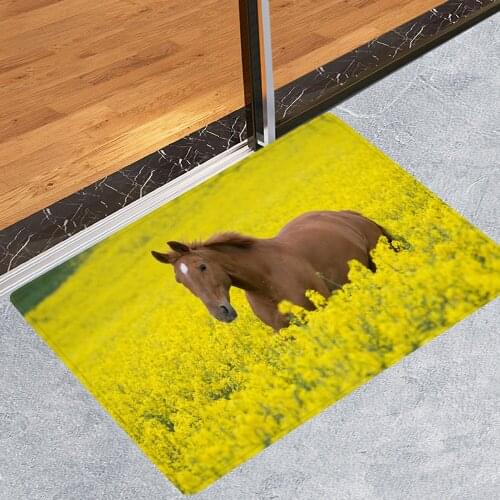 Doormat for Entrance Door Kitchen Floor Mat 3D Printed Welcome Rugs Washable Mats for Bedroom Living Room Bathroom Carpets