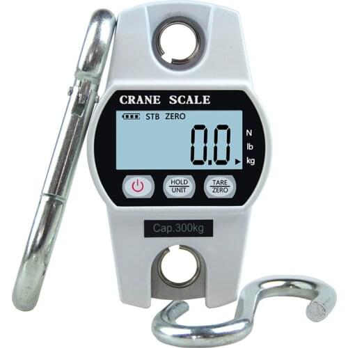 300kg/100g Mini Digital Scale for Fishing Luggage Travel Weighting Steelyard Hanging Electronic Hook Scale, Kitchen Weight Tool