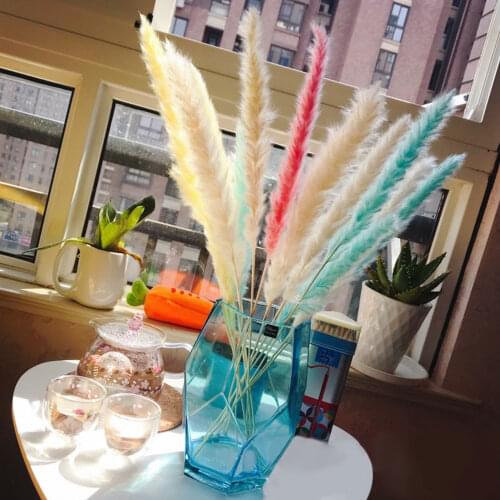 Bulrush Natural Dried Small Pampas Grass Phragmites Artificial Plants Wedding Reed Dry Flower Bunch For Home Decor Fake Flowers