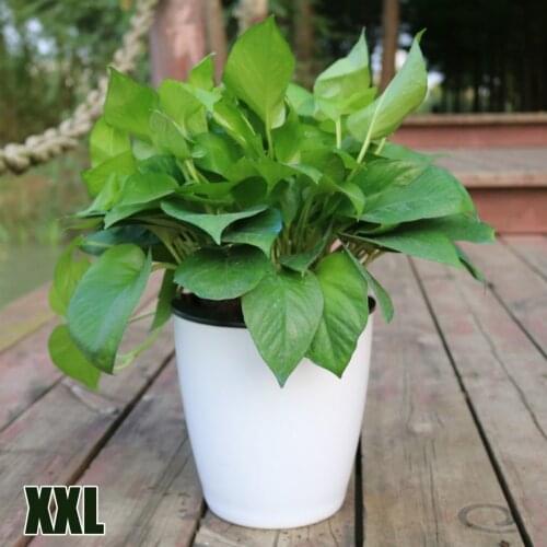 1*Outer Pot 1* Inner Pot 1*Cotton Rope For Lazy Flower Pot Flowerpot Imitation Porcelain Series Plastic Self Watering Pot