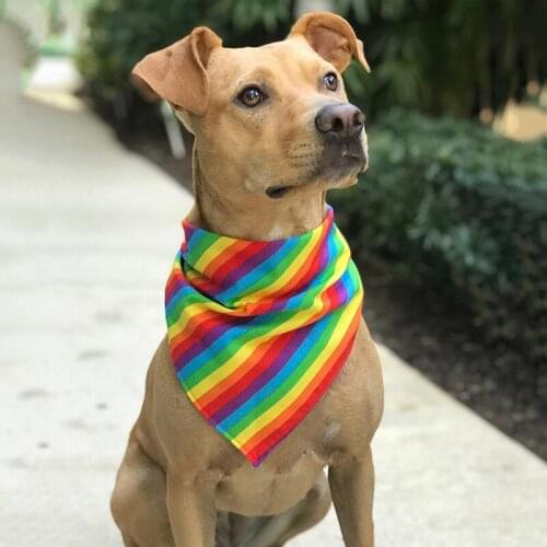 Puppy Rainbow Saliva Towel Tropical Style Pet Dog Bandanas Scarf Cute Dog Saliva Bandanas Home Pets Accessories