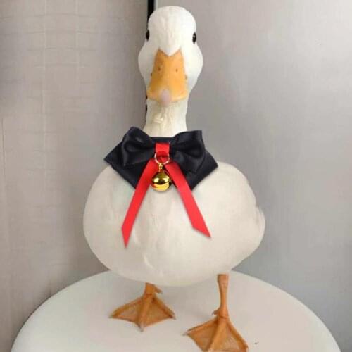Handmade Adjustable Pet Neck Ring Chicken Duck Parrot Birds Bowtie Bell Collar Pet Duck Collar