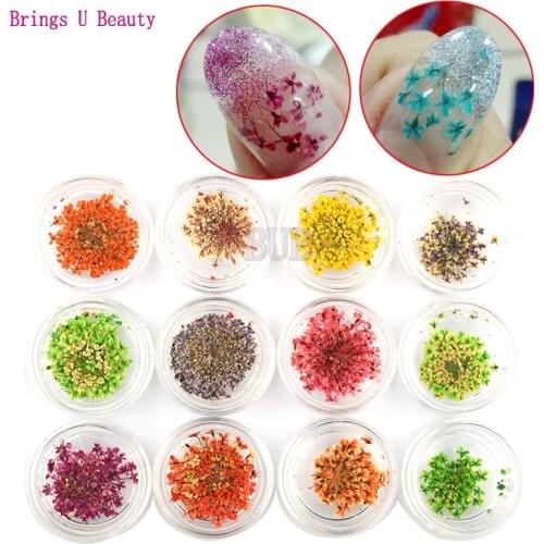 12bottles 3D Real Dried Dry Flower Nail Art Decoration UV Gel Nails Stickers Nails Manicure Tips Decals with 12 Different Colors