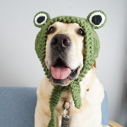 Large Dogs Accessories Dog Plush Hat Golden Retriever Labrador Samoyed Cute Frog Headgear Suitable for Large Dogs