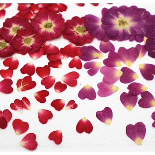 12Pieces Pressed Real Dried Flower Half Casting Making Christmas Card Decoration Cut Rose for DIY Home Ornament Resin