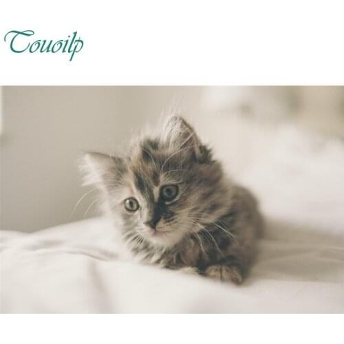 5D diamond painting cross stitch round&square Rhinestones embroidery plastic crafts Cute brown cat Full diamond painting