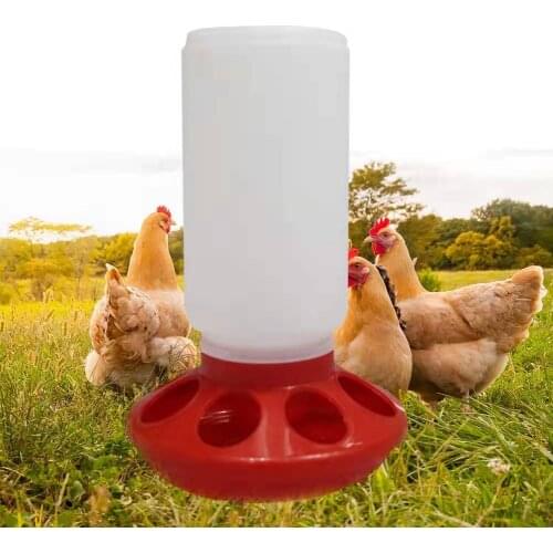 1 L Poultry Chicken Bird Feeder Tools Plastic Feeder Quail Pheasant Feed Bucket Poultry Farming Animals New Feed Equipments
