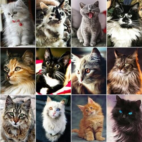 14/16/18/22/25/28ct 11ct printing only Cat Embroidery Sale Cross Stitch Animals Kit Home Decoration