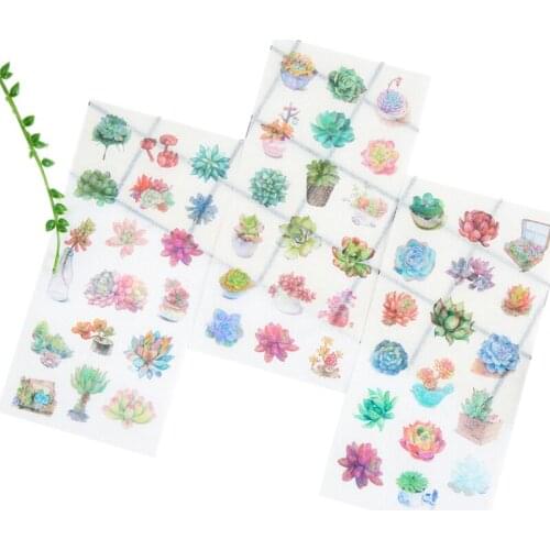 15packs/lot Creative Succulent Plants DIY Decorative Scrapbooking Stickers Transparent PVC Diary Album Sticker Wholesale