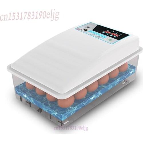 Water Bed Incubator Small Domestic Chicken, Duck, Goose Egg Incubator Automatic Intelligent Mini Domestic Incubator