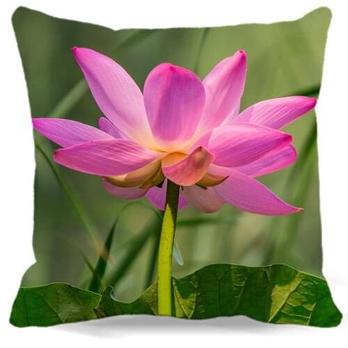 Blooming alone of pink lotus Square Cushion cover Cotton polyester bedroom/chair/car/sofa seat 16 18 20 inches 9 style