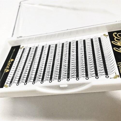 240Pcs 2D Premade Fans Professional Individual Eyelashes False Lashes Wimpers Volume Eyelashes Extensions Free Shipping