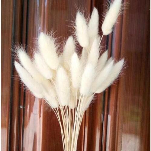 30pcs Natural Dried Flowers Colorful Flower Bouquet For Rabbit Tail Home Decoration Photography Props Art Craft