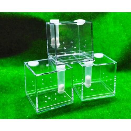 Climbing Pet Feeding Box Acrylic Insect Spider Active Area Small Pet Breeding Tank 85X85X85mm