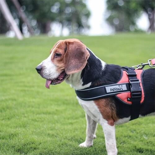 Dog Harness NO PULL Reflective Breathable Adjustable Pet Harness For Dog Vest ID Custom Patch Outdoor Walking Dog Supplies