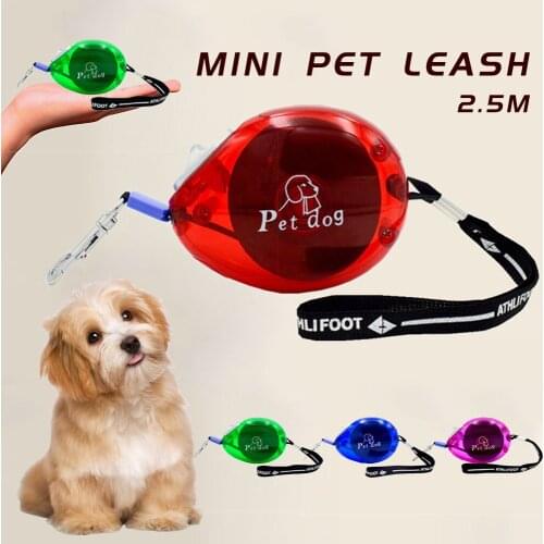 Mini Automatic Retractable Dog Leash Rope Outdoor Training Cat Leashes Adjustable Pet Lead Belt For Puppy Small Dogs Chihuahua