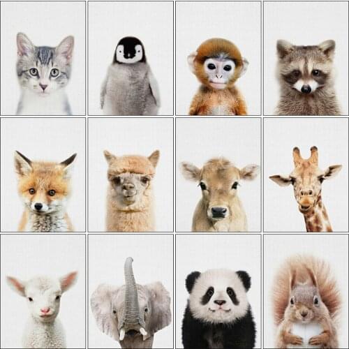 Evershine 5D DIY Diamond Painting Animal Full Square Round Diamond Embroidery Cat Rhinestones Mosaic Home Decoration