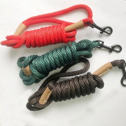 Pet Dog Leash small Large Puppy nylon rope leatheDog Leash Recall Training Tracking Obedience Long Line Lead Rope 2m 3m 5m 10m