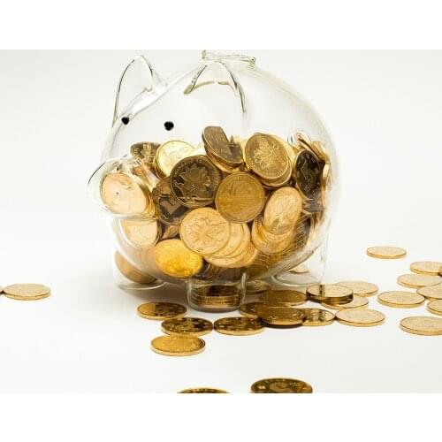 Glass Large Coin Money Box Adult Kids Gift Pig Transparent Ornament Piggy Bank Saving Wedding Spaarpot Home Decoration DG50MB