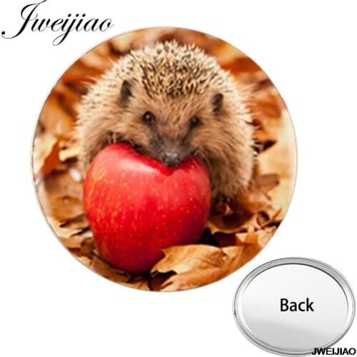 Youhaken Hedgehog In The Fog One Side Flat Pocket Mirror Mini Cute Smooth Compact Portable Simple Makeup Vanity Hand Mirrors