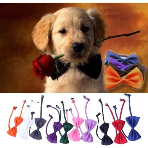 Candy Color Dog Cat Bow Tie Puppy Kitten Cat Necktie Pet Dogs Fashion Clothes Decoration Pet Supplies