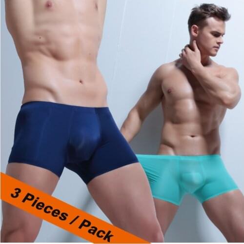 Ice Silk Boxer Sexy Men Transparent Men Underwear Low waist Slip Homme 3XL Cuecas Boxers See Through Mens Underwear Boxers Brand