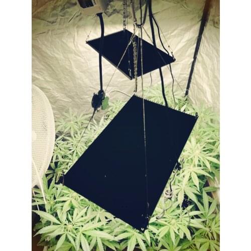 Special link to pay extra fees