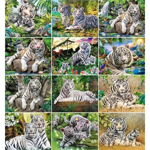 AZQSD DIY 40x50cm Paint By Numbers Canvas Animal Home Bedroom Wall Artwork Oil Painting By Numbers Tiger Handpainted Gift